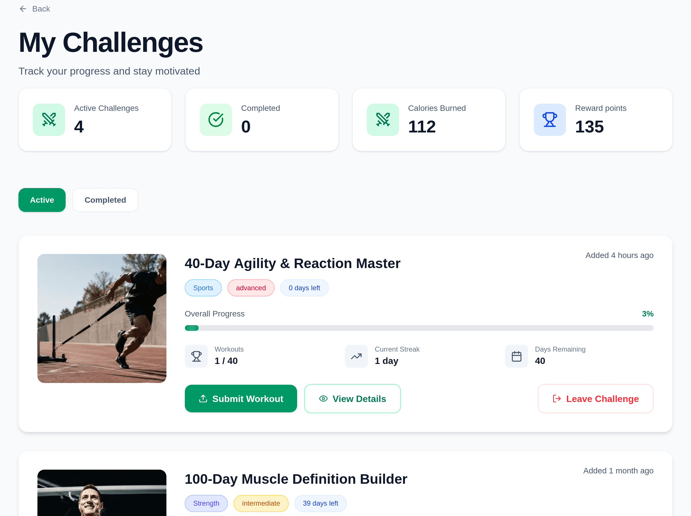 My Challenges page with progress, streak and days remaining on each challenge